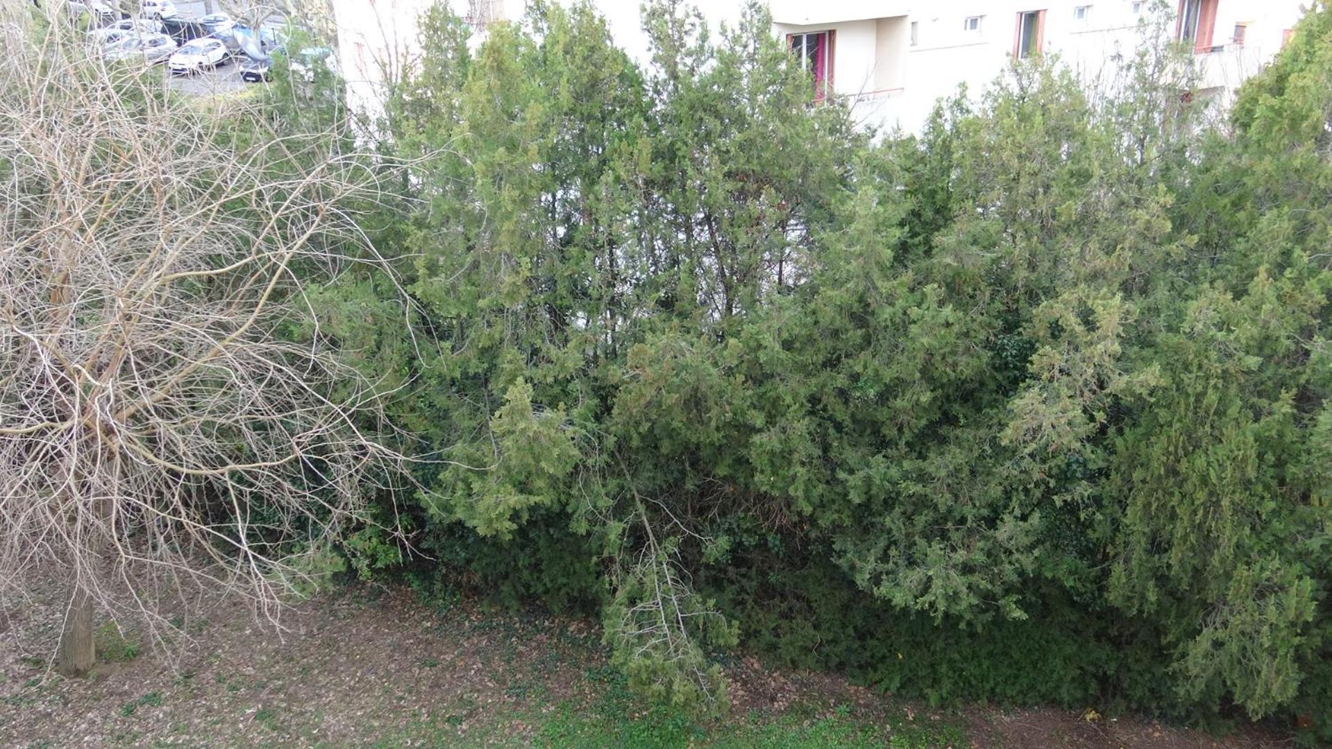 T3-4 Meuble Soupetard